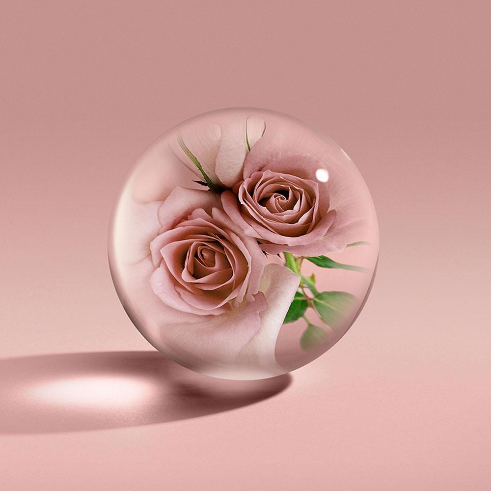 Molton Brown Rose Dunes balsam do ciała 300 ml ambrowy